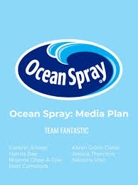 Ocean Spray Media Plans Book Flip Ebook Pages 1 23 Anyflip Anyflip