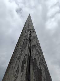 Image result for site:byggahus.se fällning