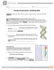 Calorimetry lab gizmo download or read online ebook calorimetry lab gizmo explore learning answer key in pdf format from the best user guide database. Building Dna Gizmo Completed Name Date Student Exploration Building Dna Vocabulary Double Helix Dna Enzyme Mutation Nitrogenous Base Nucleoside Course Hero