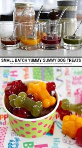 Multi Coloured Flavoured Small Batch Gummy Dog Treats Batch Colour Dog Gummy Multicolouredflavoured In 2020 Hunde Leckerli Rezepte Eis Fur Hunde Hunde Backerei