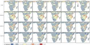 Image result for Xerophyta zambiana