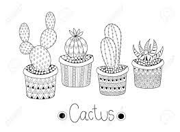 Hand drawn line art is ready to print and color. Cactus For Adult And Children Coloring Book Vector Illustration Royalty Free Cliparts Vectors And Stock Illustration Image 100204116