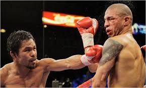 Pacquiao Wins 7th Title With 12th-Round TKO of Cotto - The New ...
