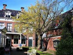 Things to do in appingedam, the netherlands: European Cornel Near The Entrance Of The Museum Stad Appingedam In Appingedam Groningen Netherlands