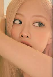 Rose And Hank Seasons Greetings Blackpink Rose 2024 Season's Greetings From  Hank & ROSÉ To Blackpink Japan