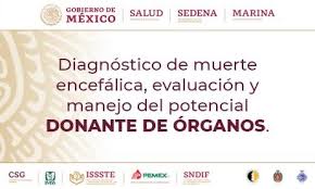 La importancia del diagnóstico de muerte encefálica radica en que en españa más del 90% de los trasplantes se. Ojino Sosa On Twitter Consulta La Gpc Diagnostico De Muerte Encefalica Evaluacion Y Manejo Del Potencial Donante De Organos Actualizacion 2019 Liga Https T Co Lzcfhkpib4 Https T Co Gjmq1gxlms