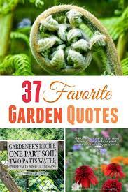 We've defined dozens of gardening terms and phrases for you! 37 Favorite Garden Quotes Memes And Quirky Expressions Empress Of Dirt
