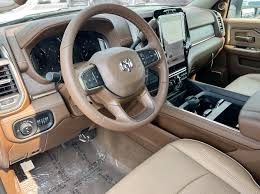 Image result for Power Tan 2025 Ram