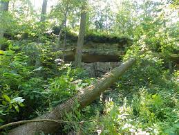 This hiking trail is located in the shawnee national forest and features a variety of vegetation and a waterfall. Pomona Natural Bridge Enjoy Illinois