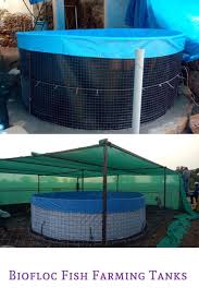 Bioflocfishtank Fishfarmingtank Pvcfishtank Bioflocfishfarming Bioflocaquaculturetank Fish Farming Catfish Farming Koi Fish Care