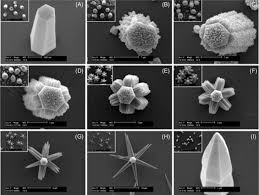 Zion baptist church in epworth. Theoretical Aspects Of Synthesis For Controlled Morphological Nanostructures Sciencedirect