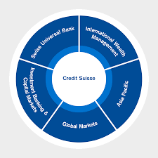 Private Wealth Management Business Plan Strategy Credit