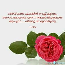 Pin By Meghamalhar On Malayalam Quotes Malayalam Quotes Flowers Plants