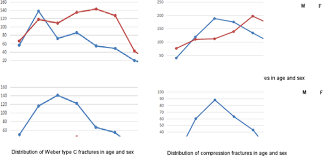 One option involves inserting screws that run from the front to the back of the ankle or the other way around. Radiographic Analysis Of Adult Ankle Fractures Using Combined Danis Weber And Lauge Hansen Classification Systems Scientific Reports