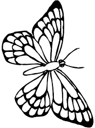 Insect coloring pages garden coloring pages summer coloring pages butterfly coloring page easy coloring pages coloring sheets for kids coloring pages to. B U T T E R F L Y D R A W I N G S P R I N T A B L E F O R F R E E Zonealarm Results