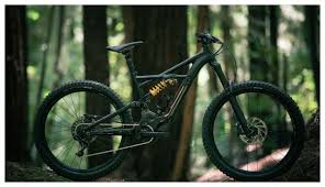 Specialized Kenevo 2019 Bike Point Meran Gruber Bikepoint