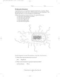 / edited by albert balows. Prokaryote Structure A Prokaryote Is A Unicellular Organism