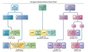 Use The Nomenclature Flow Chart The Follo Clutch Prep