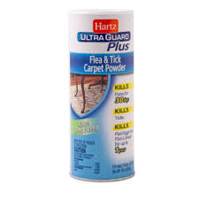 If the weather isn't ideal and there isn't a host to feed on, flea larvae may remain dormant for months while waiting for better conditions. Hartz Ultraguard Plus Flea Tick Carpet Powder Hartz