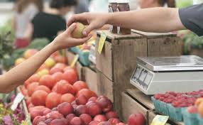 19/2020 a fost publicata in monitorul oficial pe 14 martie si a intrat in vigoare in 3 zile de la publicarea acesteia, respectiv 17 martie 2020. Proiect Prima De 20 000 Euro Pentru Producatorii Agricoli Cand Intra In Vigoare Legea Agrotv