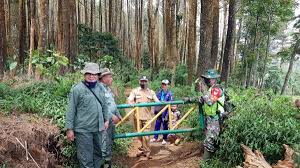 Desa setianegara terdiri dari beberapa dusun yaitu: Tanam 300 Pohon Di Bukit Lambosir Kuningan Mass
