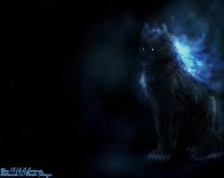 Lone wolf is a gorgeous male agouti with one blue eye and one green eye. Cool Black Wolves With Blue Eyes Wallpaper Wallpaper