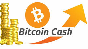 The bitcoin (btc) comparative is pushing bitcoin cash (bch) into an interesting position. Bitcoin Cash What Is It Tokeneo
