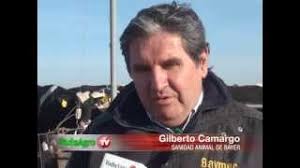 Gilberto Camargo (Sanidad Animal de Bayer)
