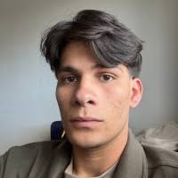 50+ "David Vicent" profiles