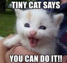 101 You Can Do It Memes For Those Times When You Need Inspiration Inspirational Memes Memes You Can Do