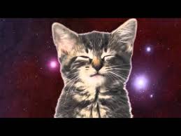 Check spelling or type a new query. Koty Spiewaja Youtube