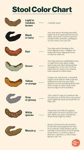 Image result for Blood in stool