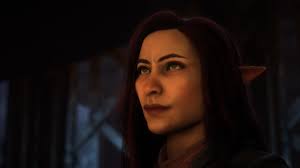 Image result for Felicia grantii