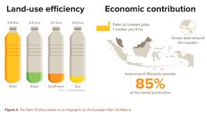 The area in agricultural use increased from 21 percent of the peninsula 's land area in 1966 to 31 percent in 1988. Palm Oil With Malaysia Cracking Down On Production What S The Alternative The European Sting Critical News Insights On European Politics Economy Foreign Affairs Business Technology Europeansting Com