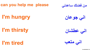كلمات مترجمة بالعربية لتعلم الإنجليزية للمبتدئين Youtube