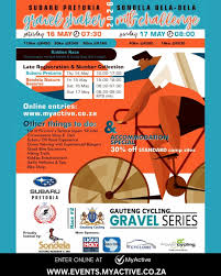 Subaru Pretoria Gravel Shaker