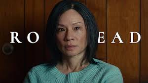 Come See Me in the Good Light (2025)