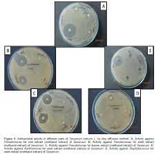The antimicrobial activity of crude ethanolic extracts of 10 medicinal plants used in traditional chinese medicine was tested against five species of microorganisms: African Journal Of Biotechnology In Vitro Evaluation Of Roots Seeds And Leaves Of Sesamum Indicum L For Their Potential Antibacterial And Antioxidant Properties