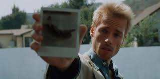 Shea Buckner Filmleri ve Dizileri