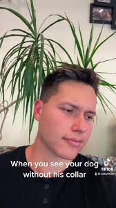 When you see your dog without his collar #fyp #dogsofttiktok #boxer  #whereyourclothesat