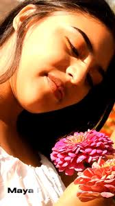 La Ruta De Maíz Tijuana 2024