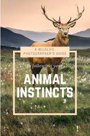 Pin On Photography Tips And How To S