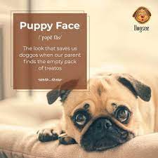 Crunchies Soft Dental Treats For Puppies And Small Dogs Healthy Dog Chews Dog Chews Puppy Treats