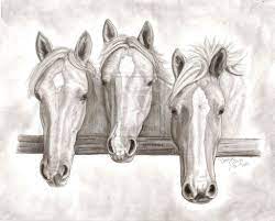 Pin On Plant And Animal Sketches