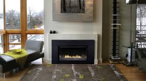 If you are shopping for fireplace inserts in the atlanta, ga area, come check out our selection in our stockbridge showroom. Best 15 Custom Fireplaces Installers In Brevard Nc Houzz