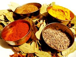 Image result for india cuisine images