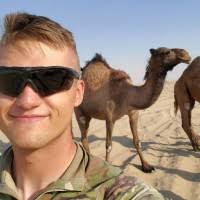 50+ "Windfeldt" profiles