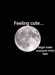 Funny But True Nurse Jokes Moon Quotes Full Moon Tonight