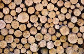 Pret / palet ( 1 palet = 2,23 mc), garantie paleti lemn: La Ce Pret A Ajuns Metrul Cub De Lemn In Judetul Suceava Suceava News Online