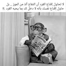 pin by abdelkader dey on حديث الليل funny arabic quotes funny dude beautiful arabic words